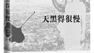 老年题材小说