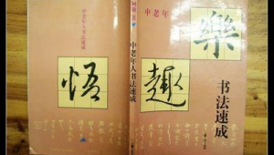 中老年文学